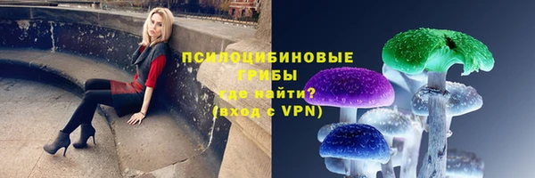 индика Абаза