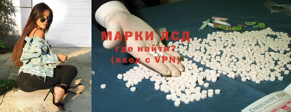 индика Абаза