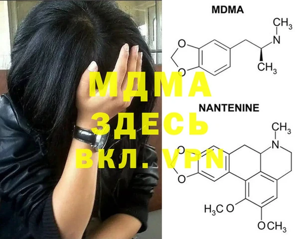 индика Абаза
