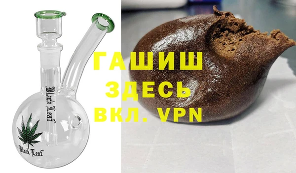 индика Абаза